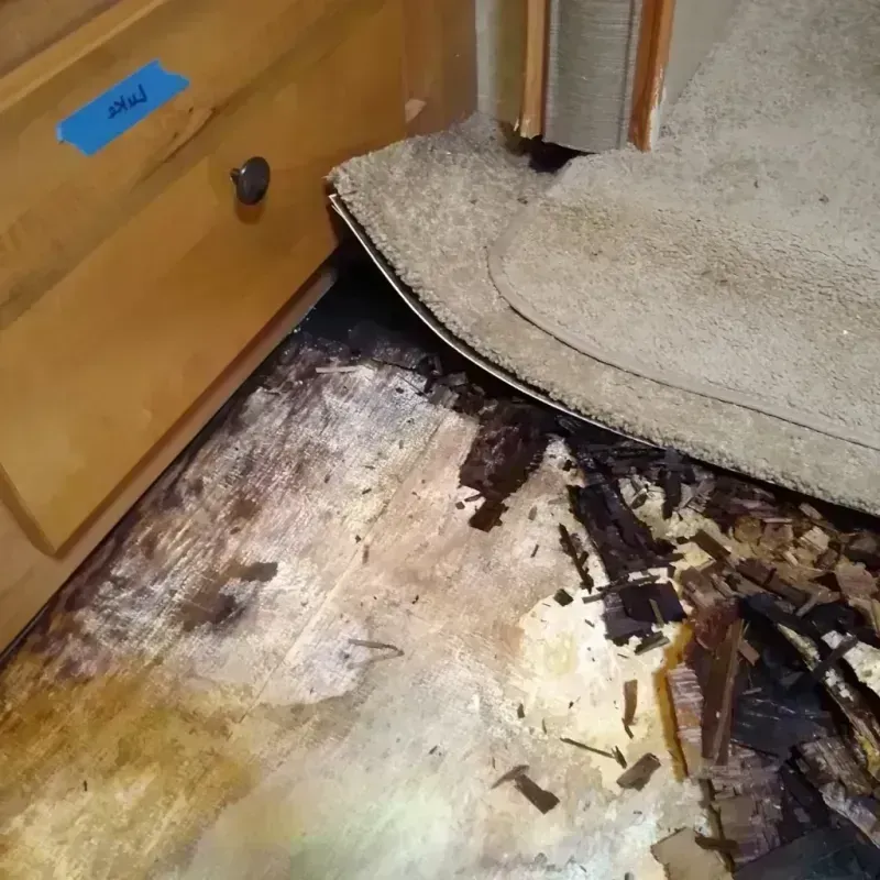 Best Wood Floor Water Damage Service in Portola, CA